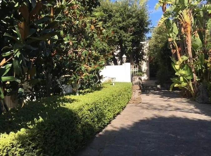 Bed & Breakfast Mosca Ischia